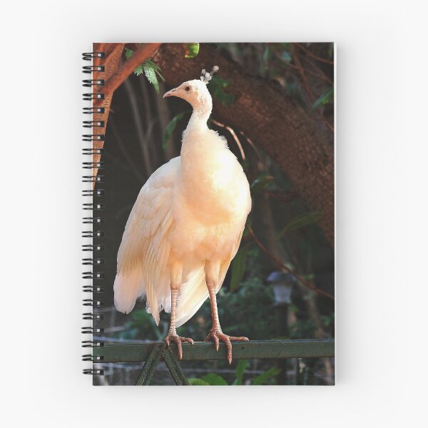Item preview, Sunshine on my feathers makes me happy designed and sold by myraj.