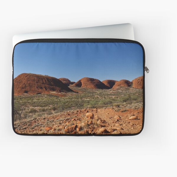 Beyond the Valley of the Winds Laptop Sleeve
