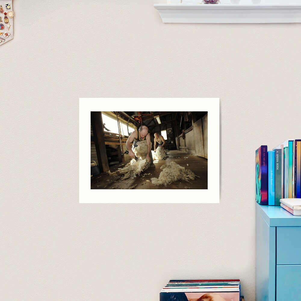 Shearing, Tooborac, Victoria, Australia Art Print