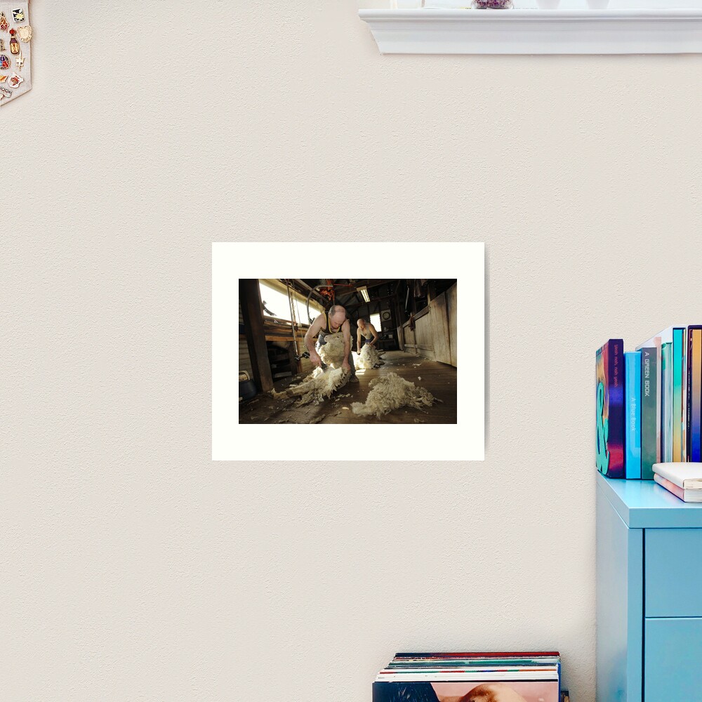 Shearing, Tooborac, Victoria, Australia Art Print