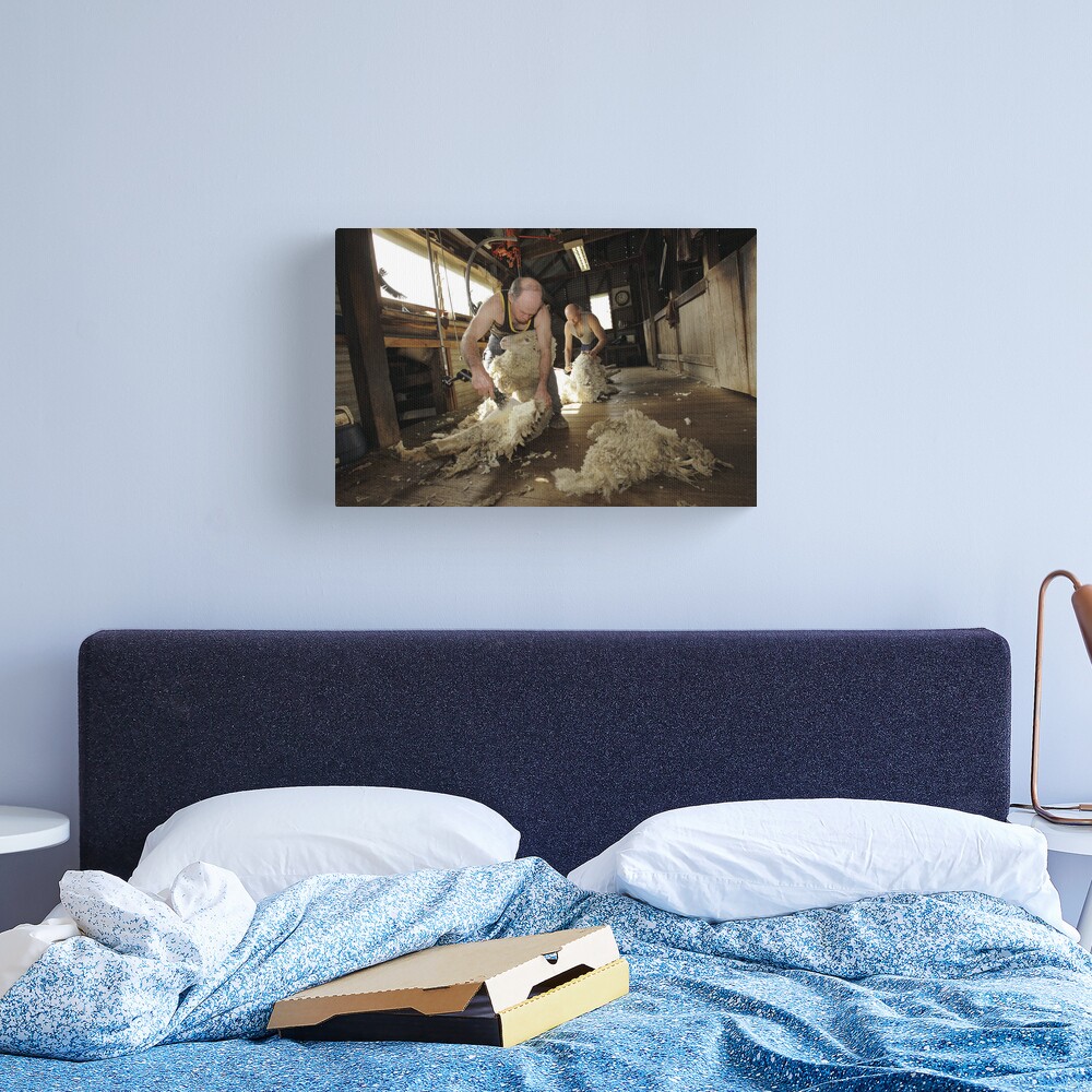 Shearing, Tooborac, Victoria, Australia Canvas Print