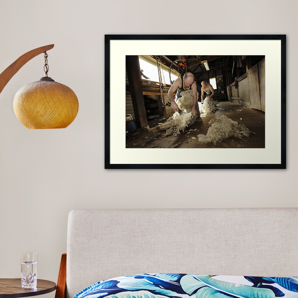Shearing, Tooborac, Victoria, Australia Framed Art Print