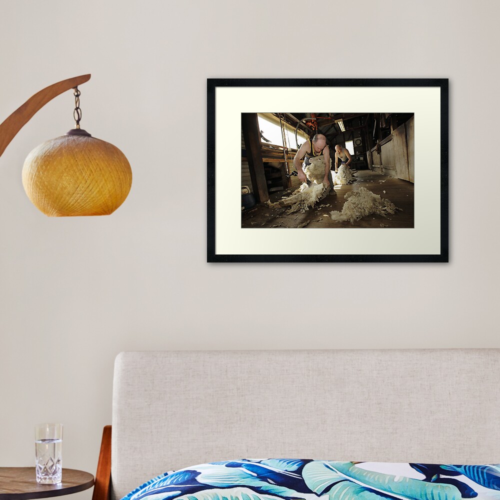 Shearing, Tooborac, Victoria, Australia Framed Art Print