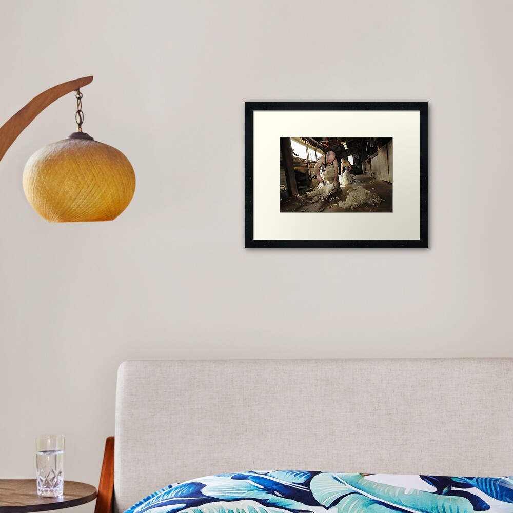 Shearing, Tooborac, Victoria, Australia Framed Art Print