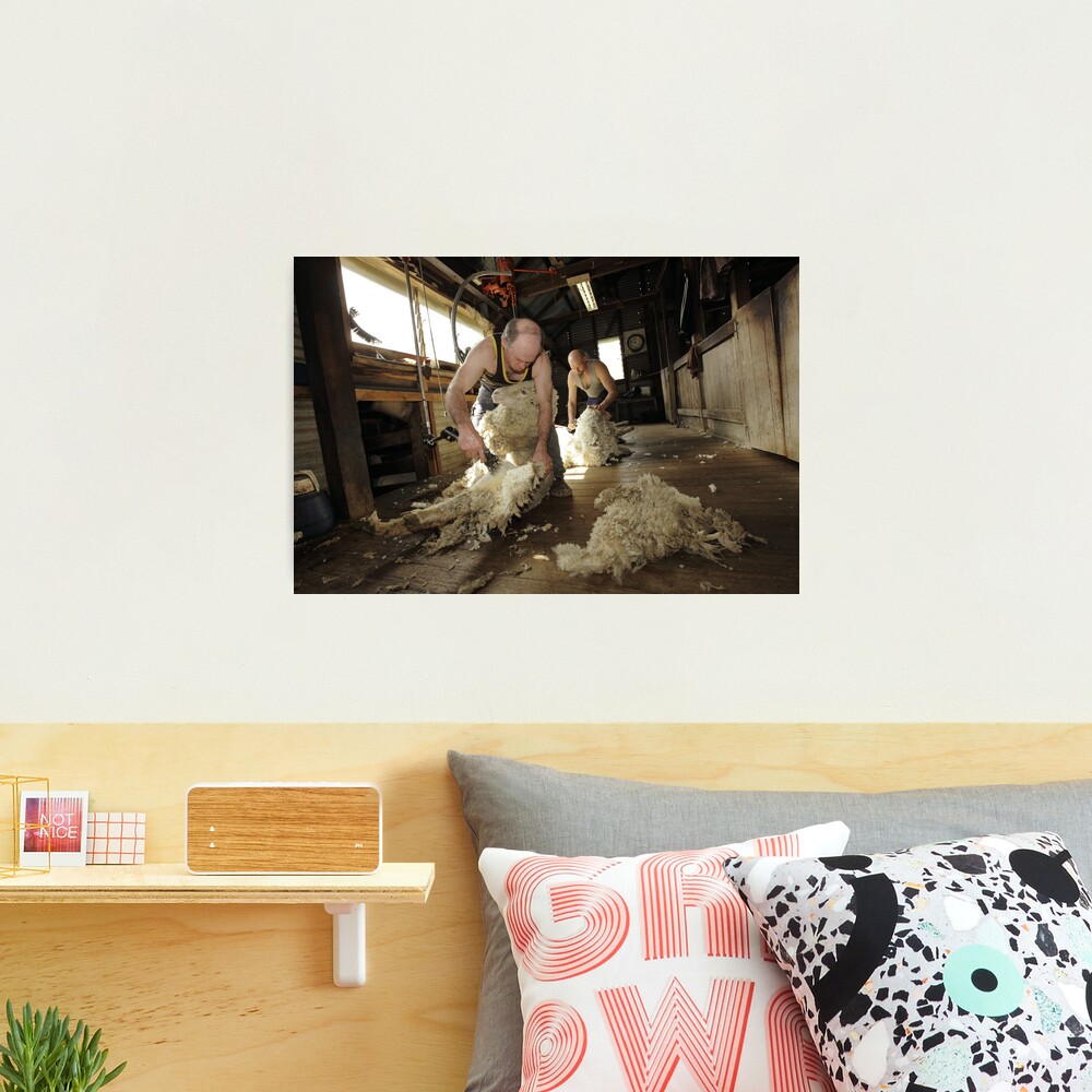 Shearing, Tooborac, Victoria, Australia Photographic Print
