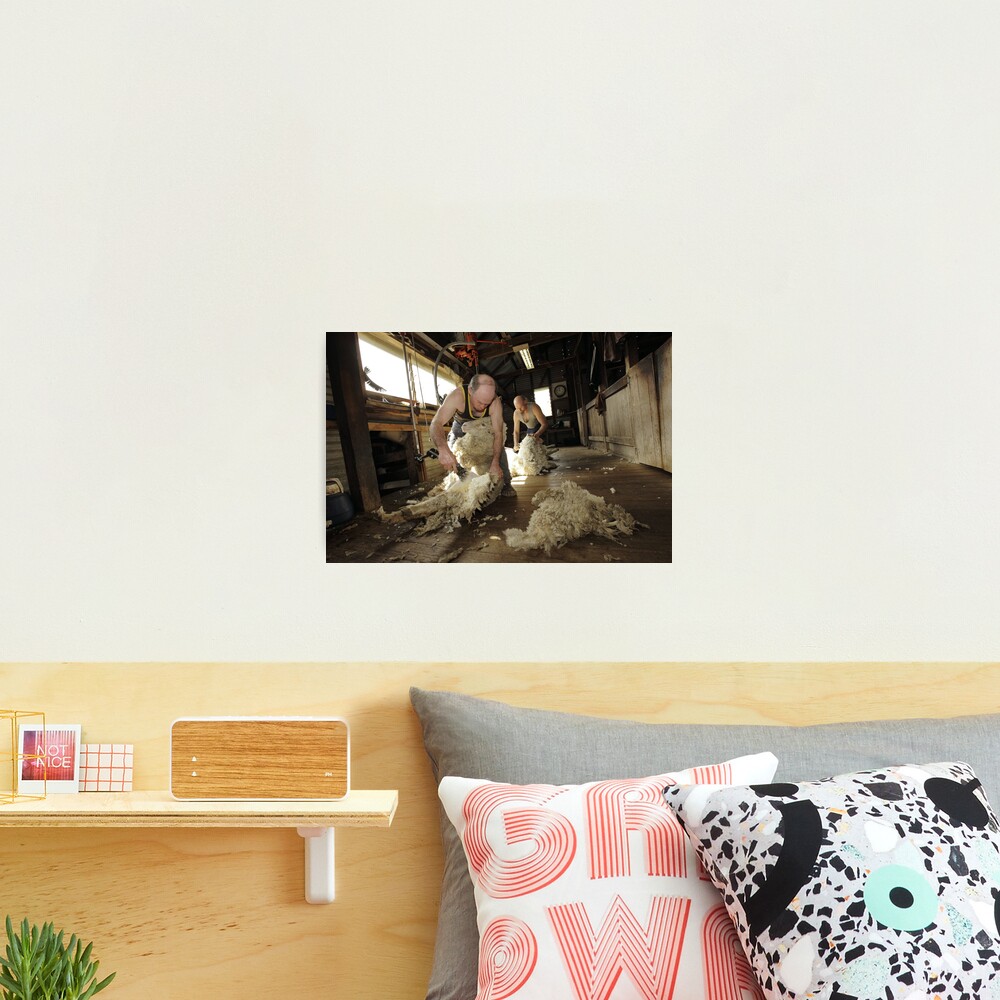 Shearing, Tooborac, Victoria, Australia Photographic Print