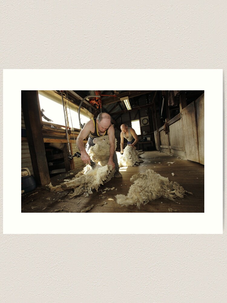 Alternate view of Shearing, Tooborac, Victoria, Australia Art Print