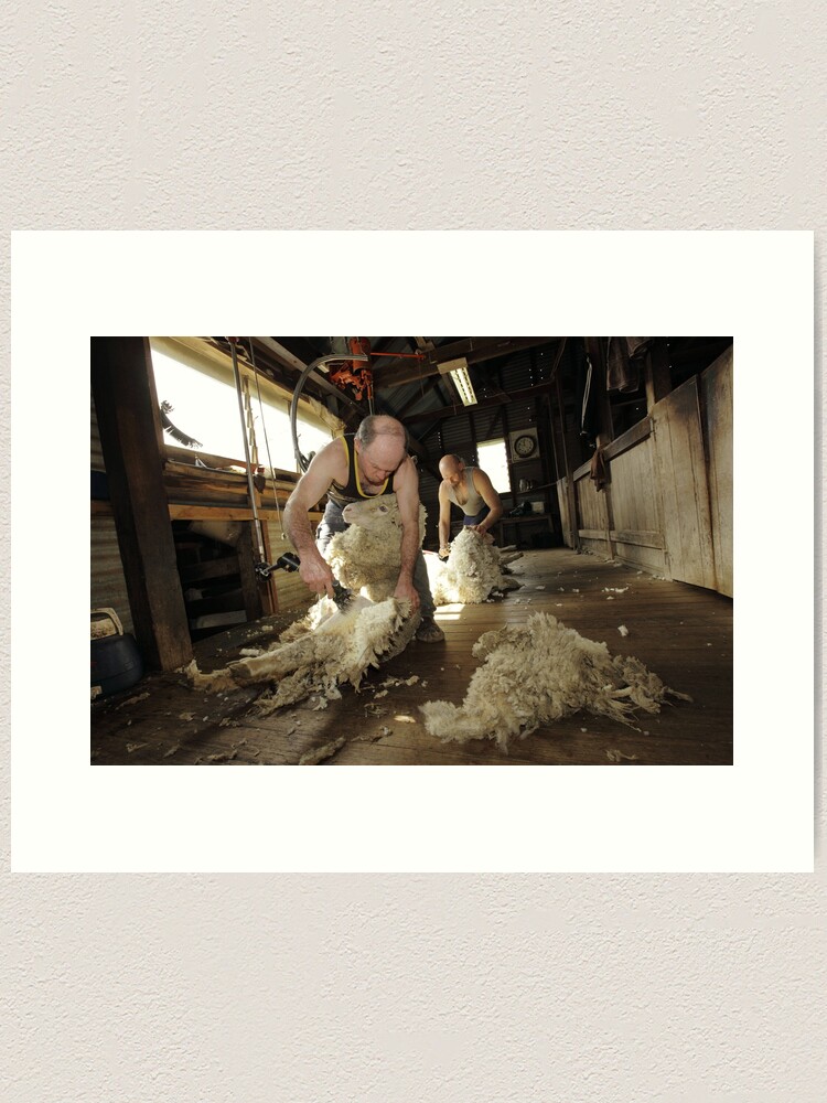 Alternate view of Shearing, Tooborac, Victoria, Australia Art Print