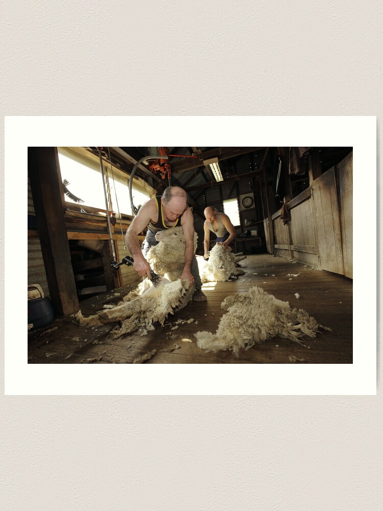 Alternate view of Shearing, Tooborac, Victoria, Australia Art Print