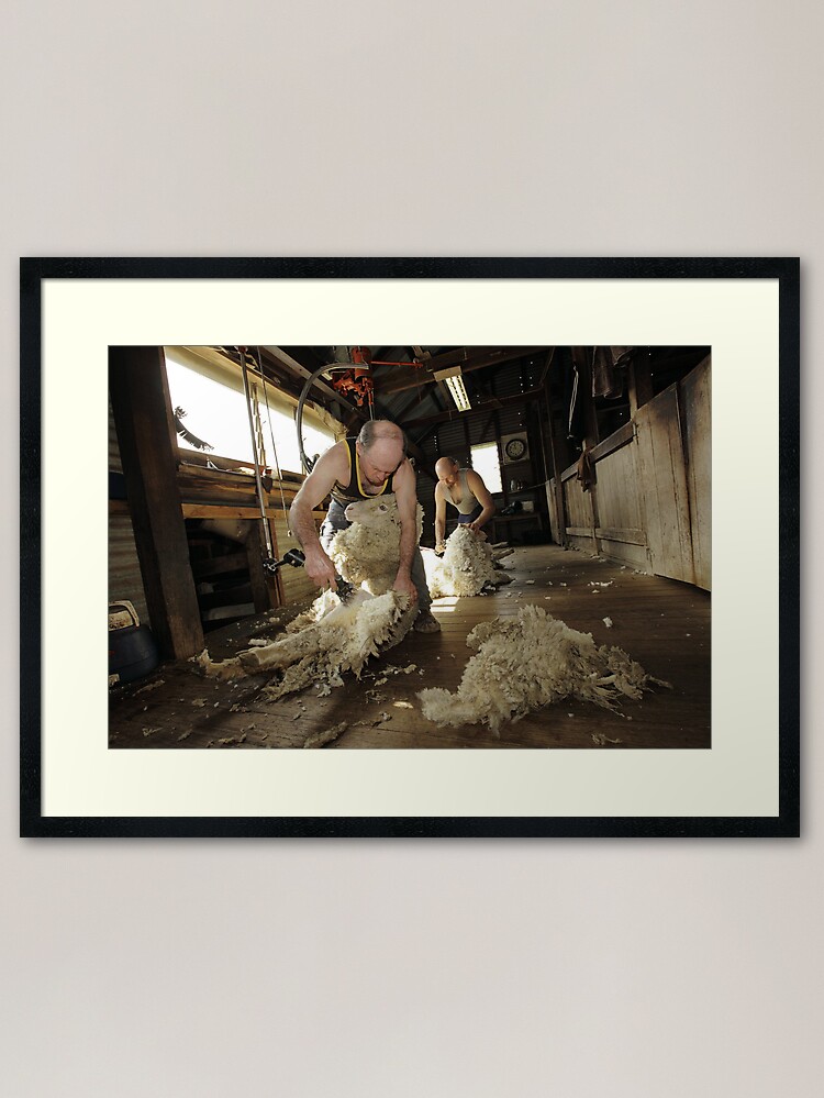 Alternate view of Shearing, Tooborac, Victoria, Australia Framed Art Print