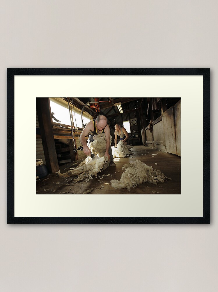Alternate view of Shearing, Tooborac, Victoria, Australia Framed Art Print