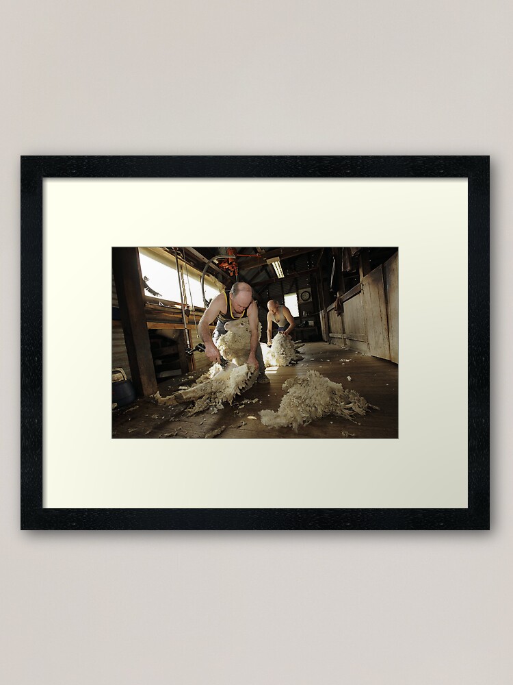 Alternate view of Shearing, Tooborac, Victoria, Australia Framed Art Print