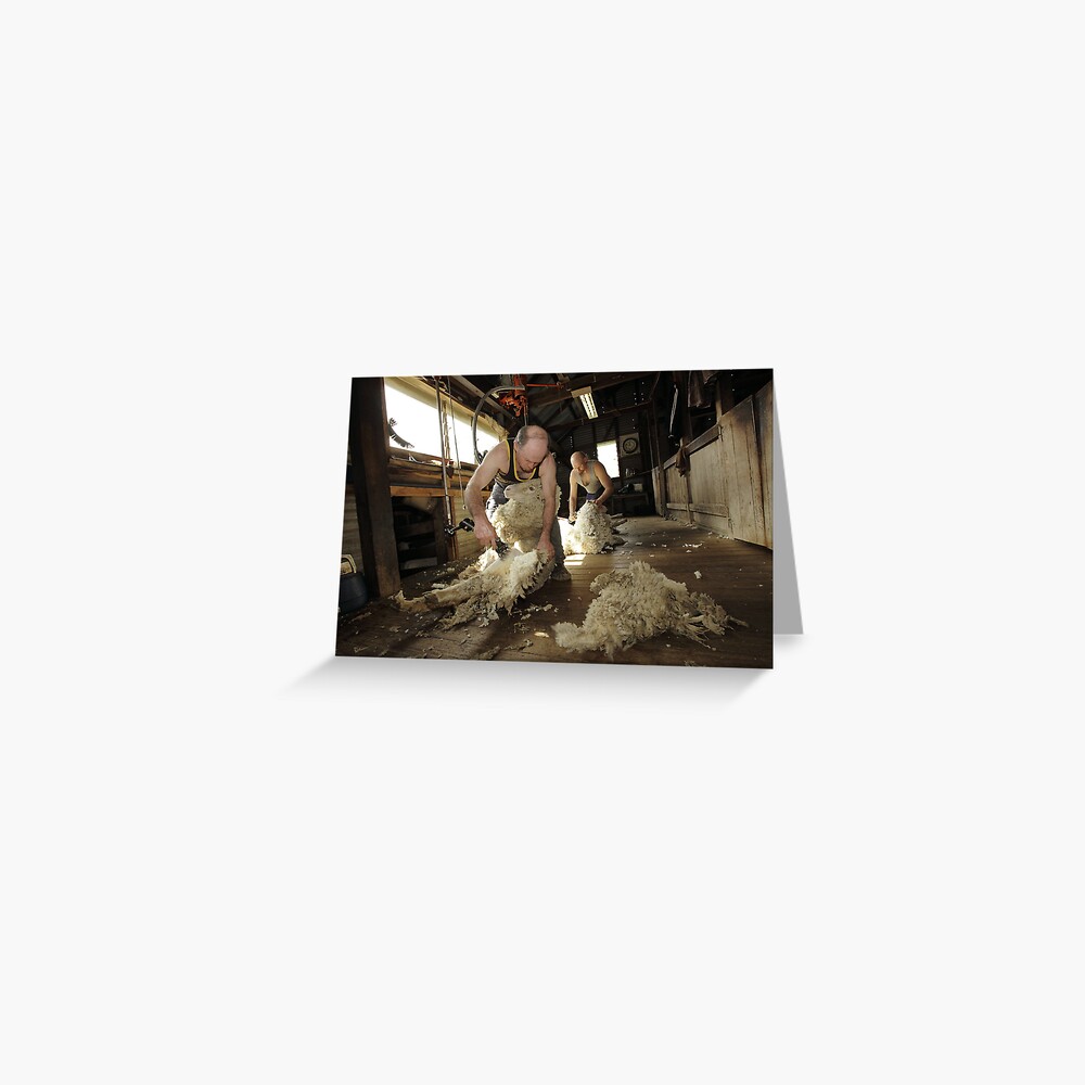 Shearing, Tooborac, Victoria, Australia Greeting Card