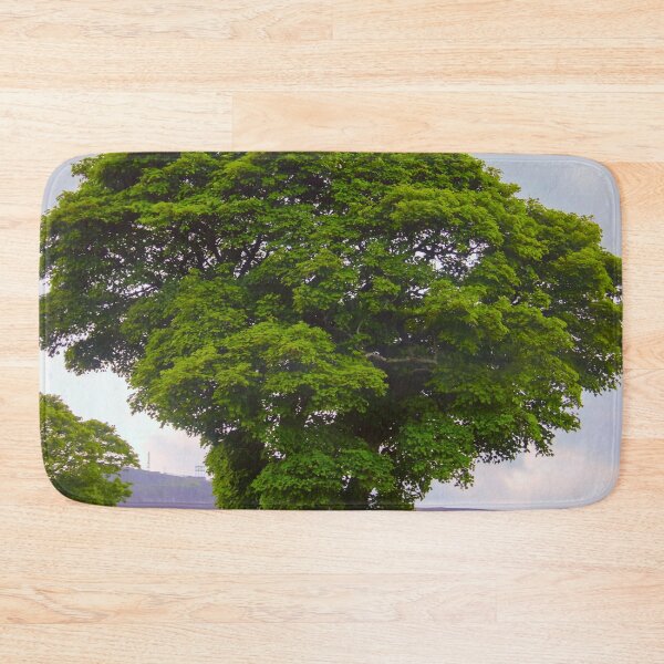 Item preview, Yew Tree, Aberdeenshire, Scotland, UK designed and sold by Yannik Hay.