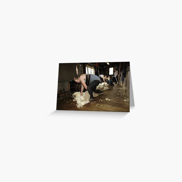 Shearing, Tooborac, Victoria, Australia Greeting Card