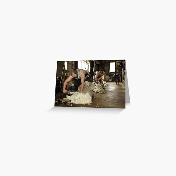 Shearing, Tooborac, Victoria, Australia Greeting Card