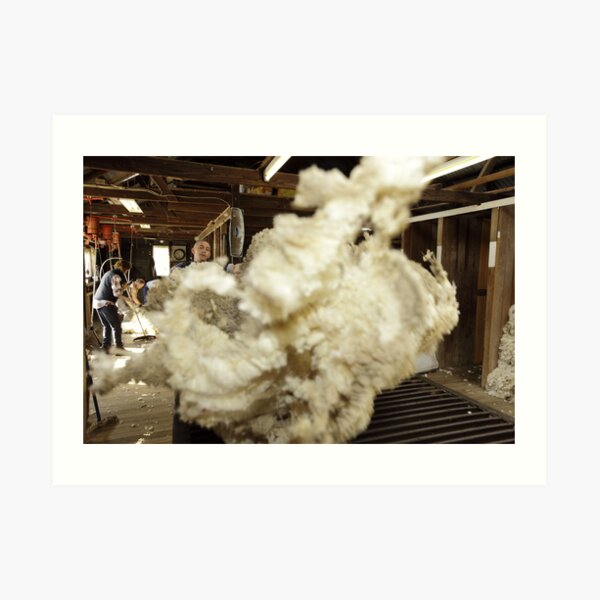 Roustabout at work, Tooborac, Victoria, Australia Art Print