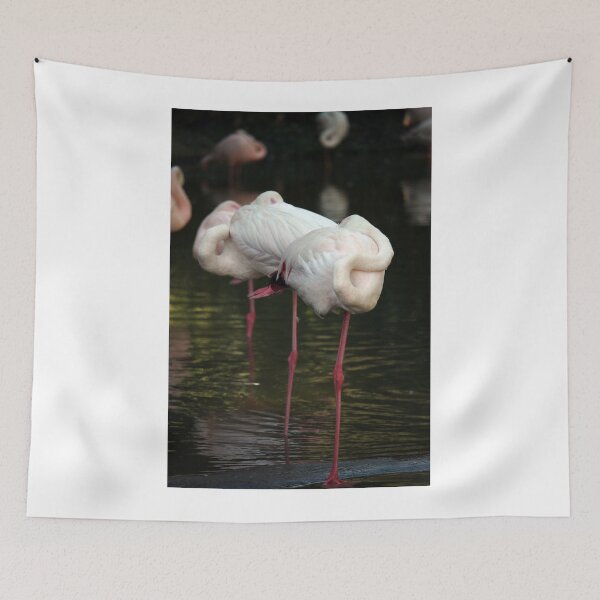 Item preview, flock of sleeping flamingos nature wildlife designed and sold by goceris.
