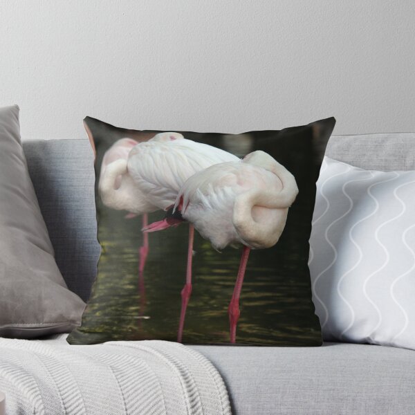 Item preview, flock of sleeping flamingos nature wildlife designed and sold by goceris.