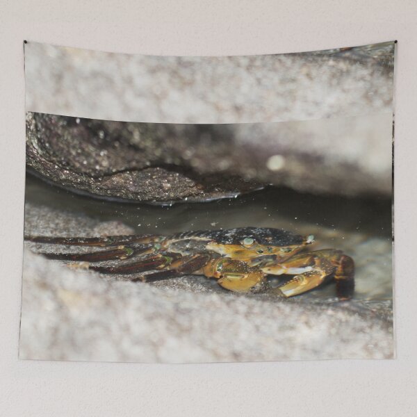 Item preview, Rock Crab - Stokes Beach, Kangaroo Island, SA designed and sold by imaginethis.