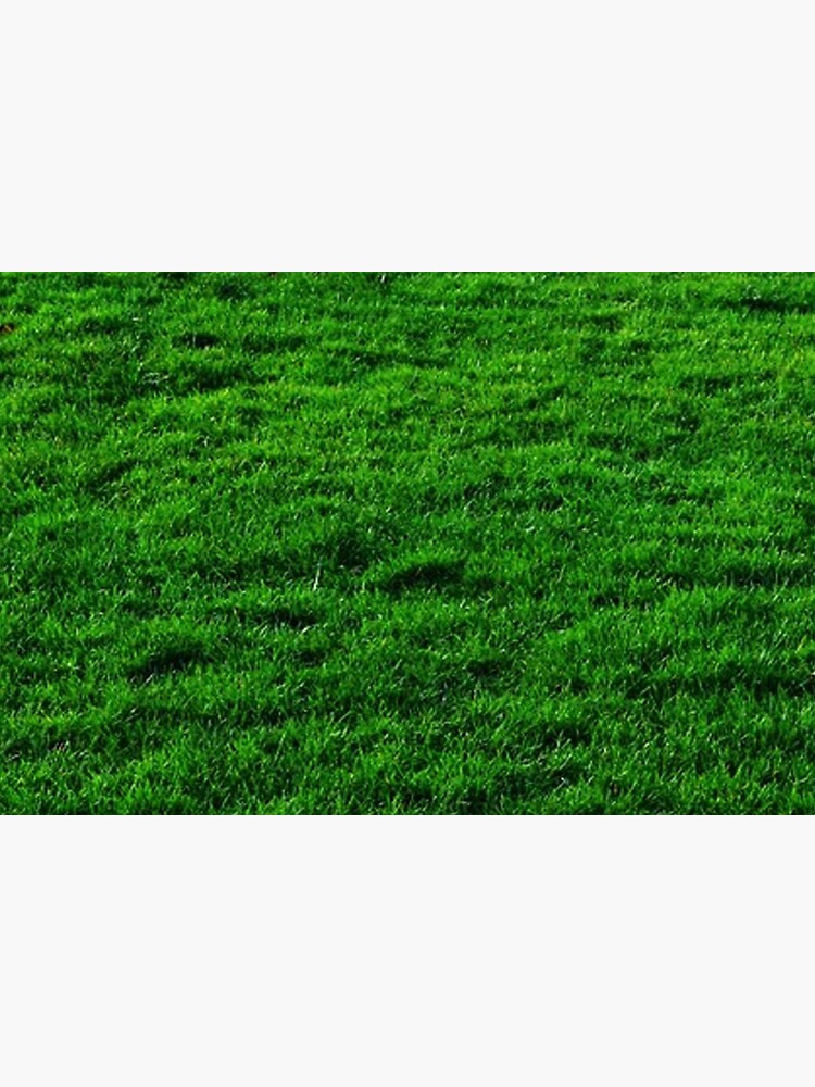 GREEN GREEN GRASS. LAWN. PITCH. by TOMSREDBUBBLE
