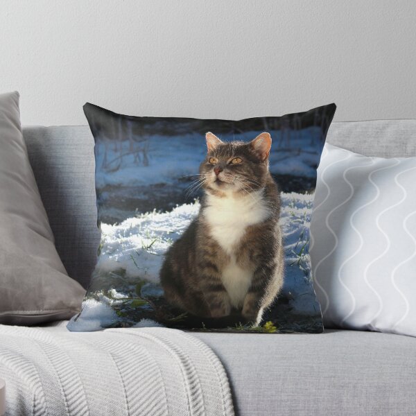 Winter cat Throw Pillow