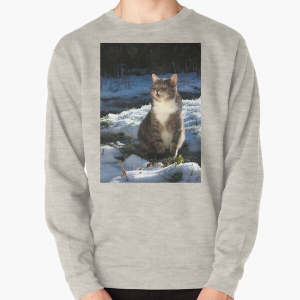 Winter cat Pullover Sweatshirt