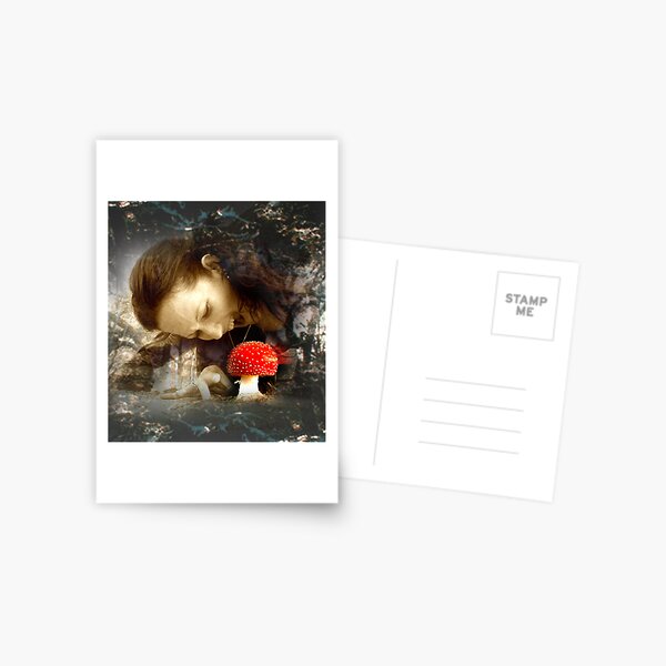 Fliegenpilz1 Postkarte