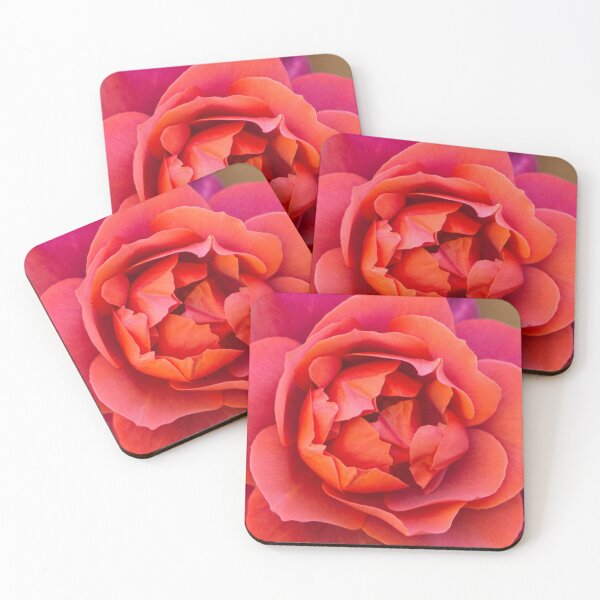 Item preview, Summer Rose designed and sold by grantsykes.