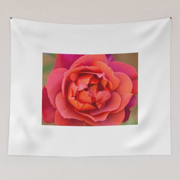 Item preview, Summer Rose designed and sold by grantsykes.