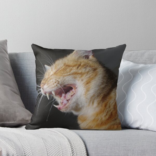 Artikelvorschau, Ingwerkatze gähnend entworfen und verkauft von turniptowers.