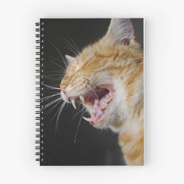 Item preview, Ginger cat yawning   designed and sold by turniptowers.
