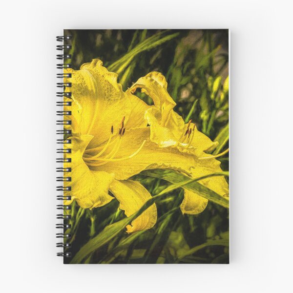 Artikelvorschau, Sommerblume entworfen und verkauft von Georges Dutil.