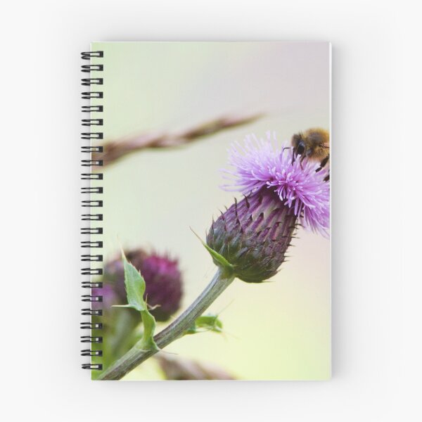 Item preview, Honey Bee (Apis Mellifera) on a Purple Thistle designed and sold by Rob Cole Photography.