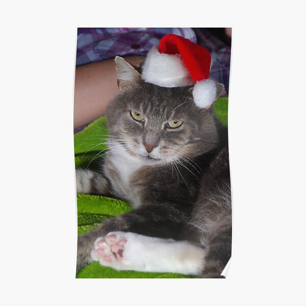 Santa Claws Poster