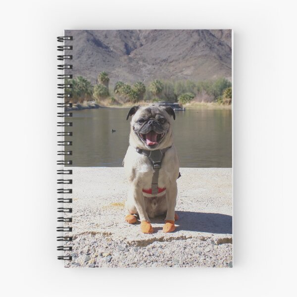 Item preview, Mack Gets The Last Word in Zzyzx designed and sold by pugventurephoto.