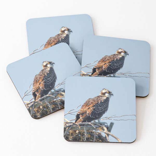 Item preview, Almost Ready designed and sold by Lois  Bryan.