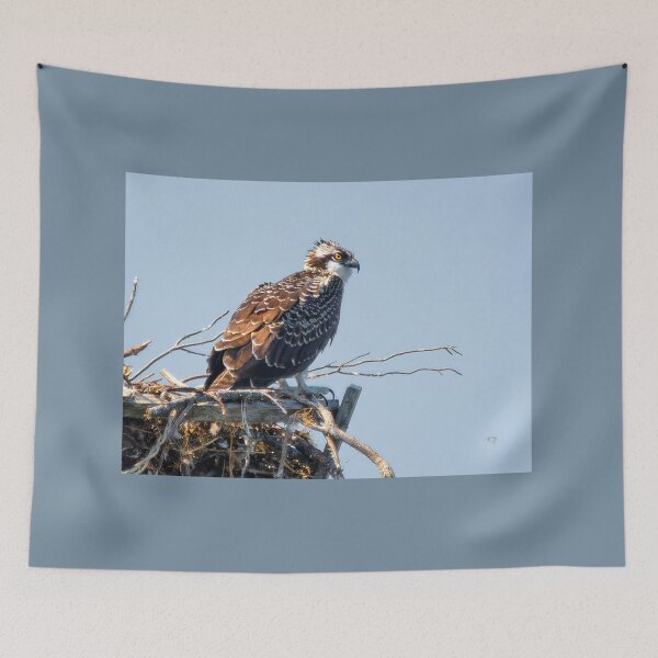 Item preview, Almost Ready designed and sold by Lois  Bryan.