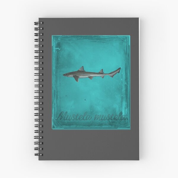 Item preview, Smoothhound shark T-shirt designed and sold by markflynnart.