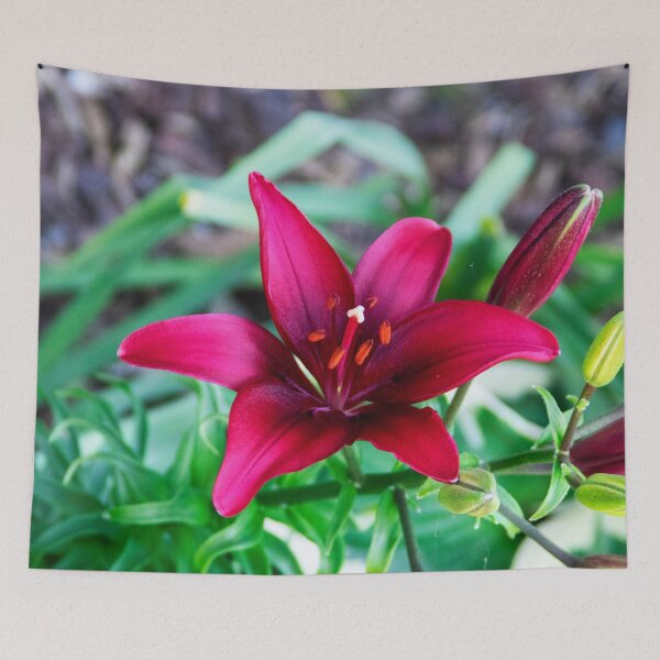 Item preview, Perfection in Purple  designed and sold by SRosuphotos.