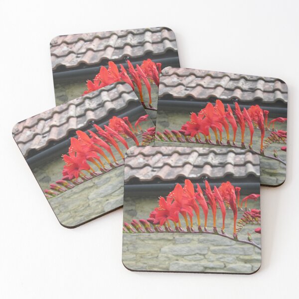 Item preview, Red Crocosmia designed and sold by lezvee.