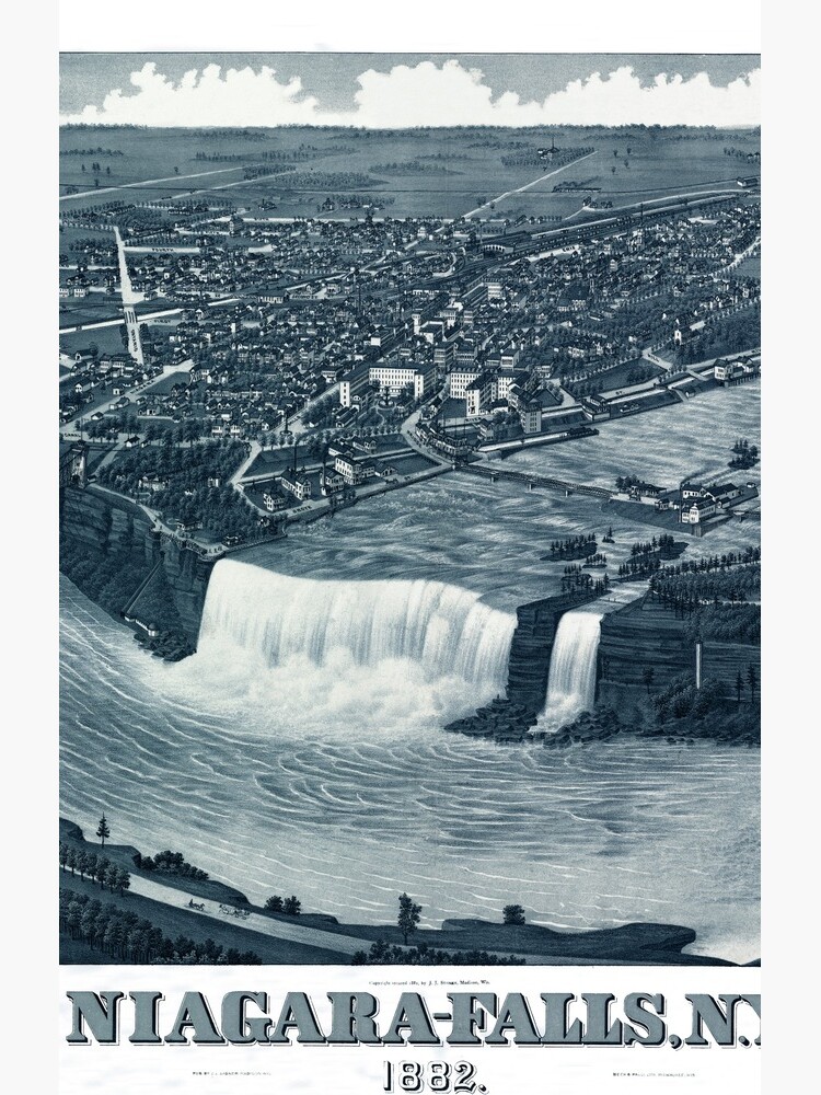 Niagara Falls 1882 | Leggings
