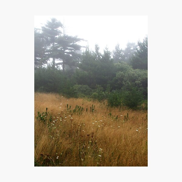Artikelvorschau, Misty Oregon Field entworfen und verkauft von Arlyta.