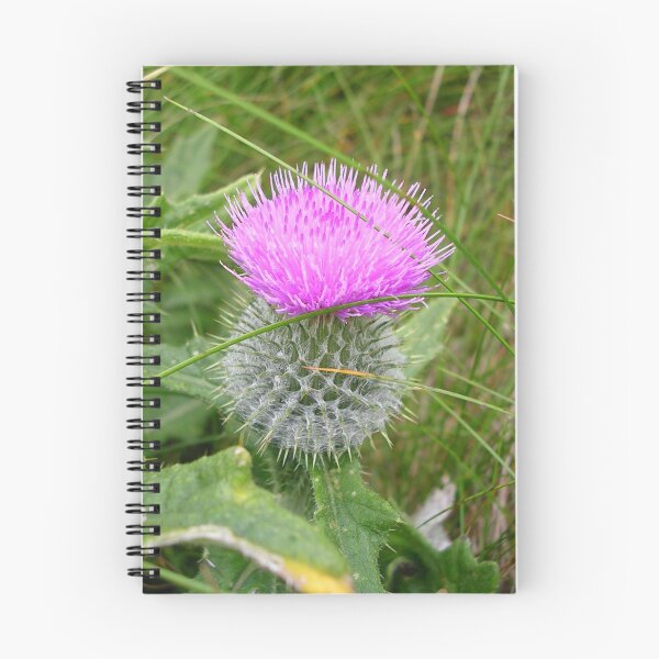 Item preview, A Scottish Thistle designed and sold by lezvee.