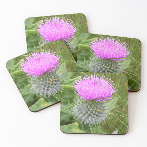 Item preview, A Scottish Thistle designed and sold by lezvee.
