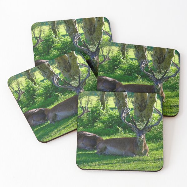 Item preview, Relaxing Red Deer designed and sold by AlbaPhotography.