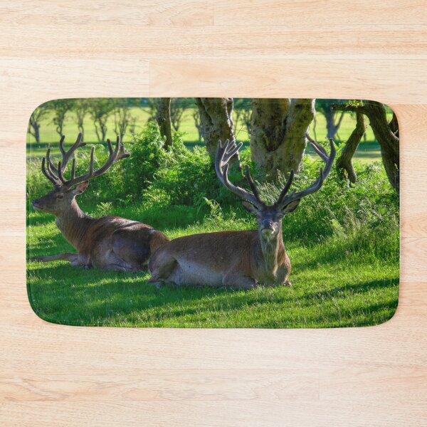 Item preview, Relaxing Red Deer designed and sold by AlbaPhotography.