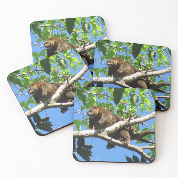 Item preview, tree top cuscus designed and sold by gruntpig.
