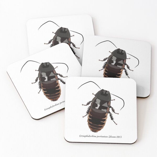 Item preview, Madagascar Hissing Cockroach Portrait designed and sold by Bug & Brush.