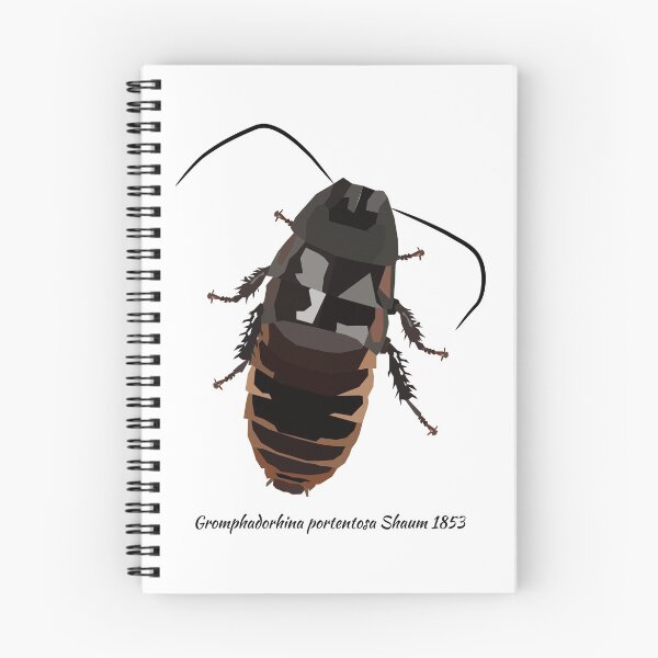 Item preview, Madagascar Hissing Cockroach Portrait designed and sold by Bug & Brush.